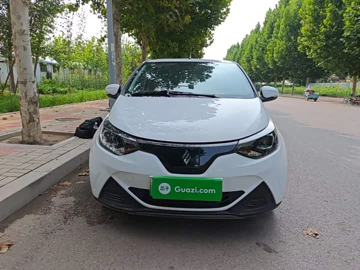 Jiangling Easy EV2