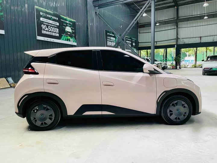 BYD seagull