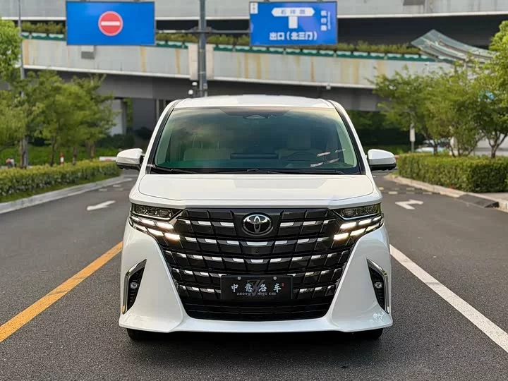 Toyota Elfa
