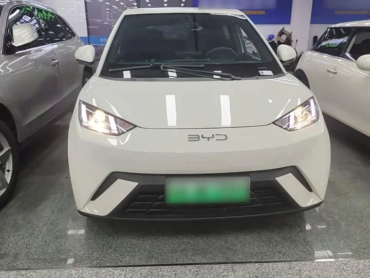 BYD seagull