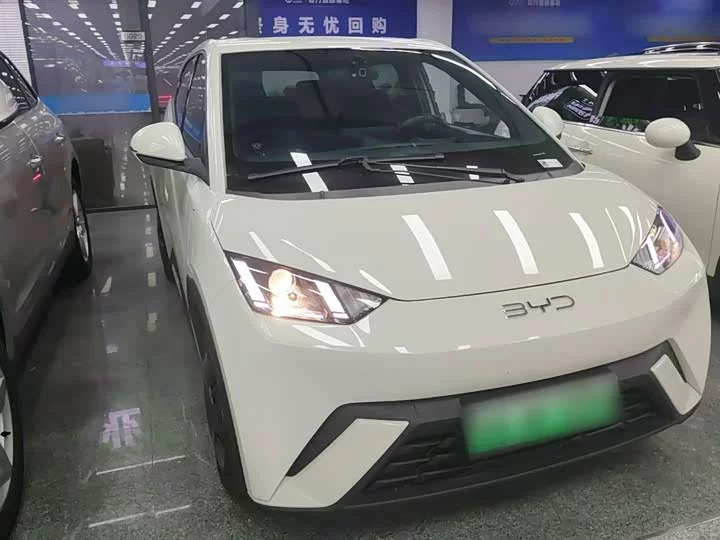 BYD seagull