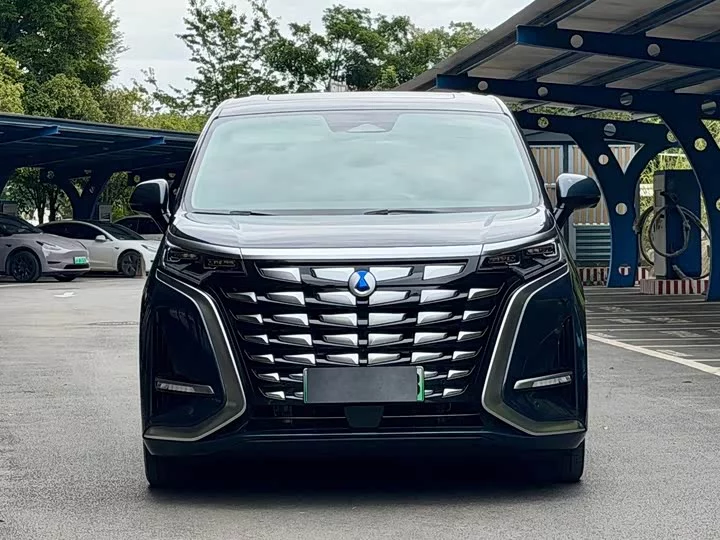 Denza D9