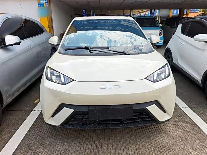 BYD seagull