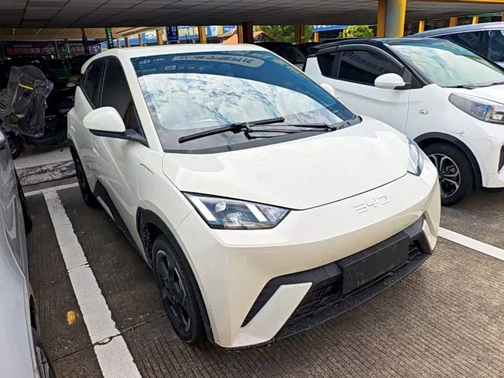 BYD seagull