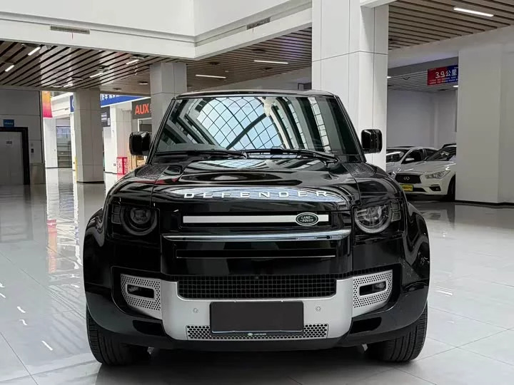 Land Rover guard