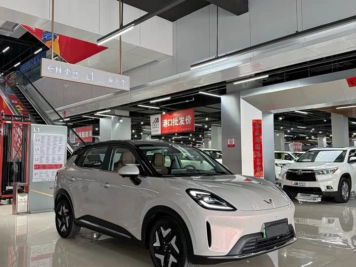 Wuling Bingo S