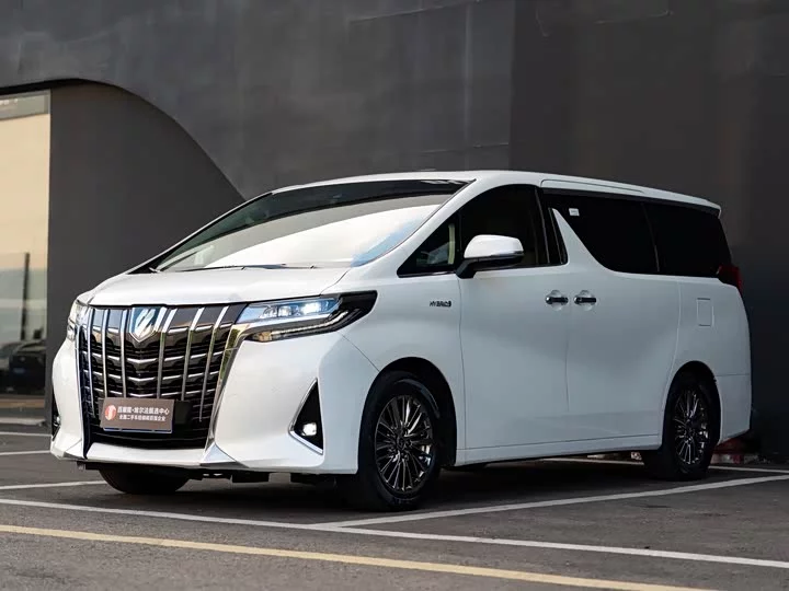 Toyota Elfa
