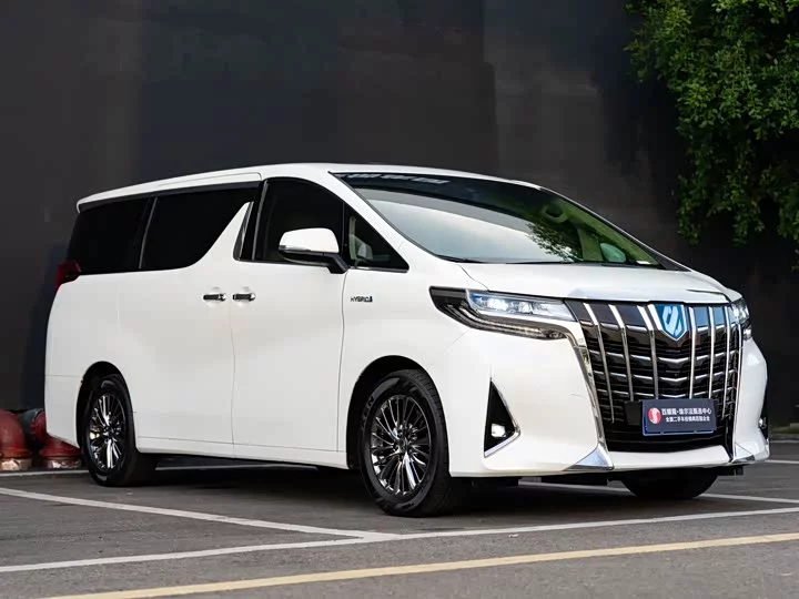 Toyota Elfa