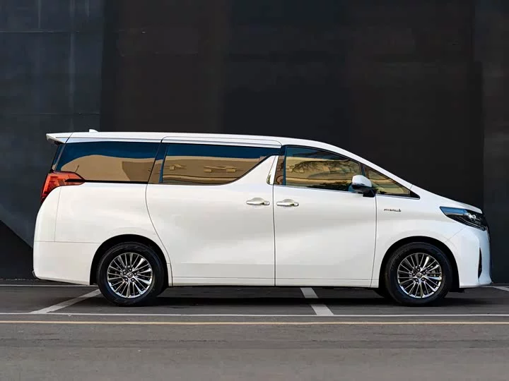 Toyota Elfa