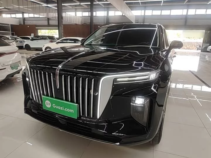 Hongqi E-HS9