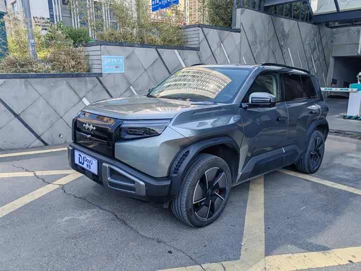BYD Leopard Titanium 3