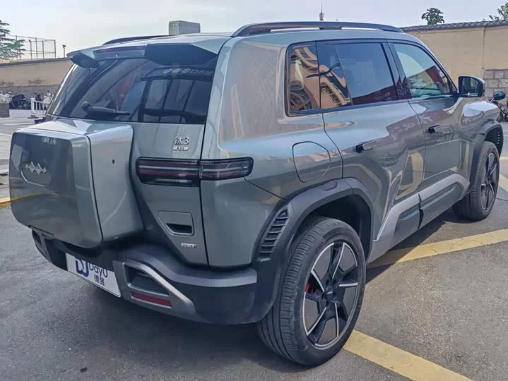 BYD Leopard Titanium 3