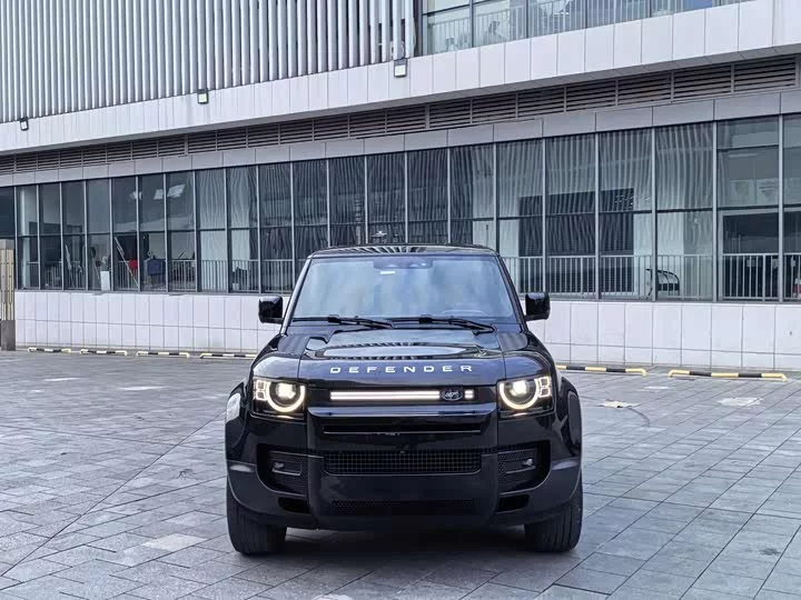 Land Rover guard