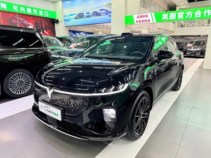 Lantu Automobile Lantu Zhiyin