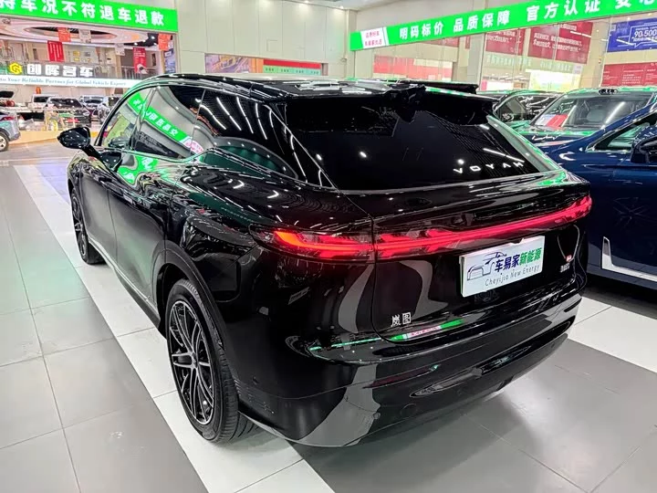 Lantu Automobile Lantu Zhiyin