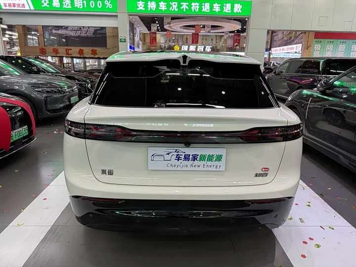 Lantu Automobile Lantu Zhiyin