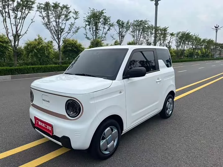 Geely panda