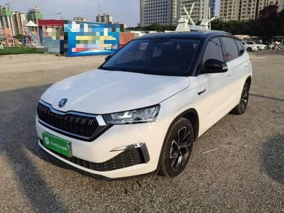 Skoda Comek