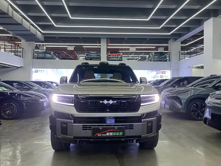 BYD Leopard Leopard 8