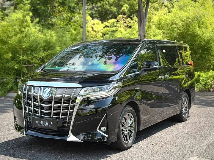 Toyota Elfa