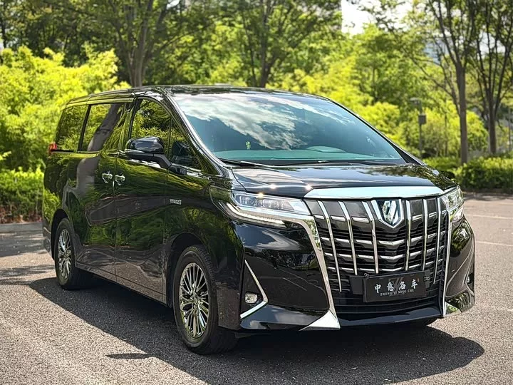 Toyota Elfa