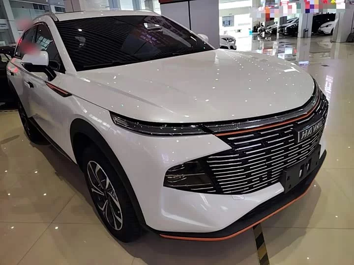 Haval Shenshou