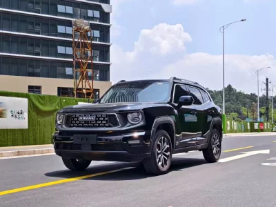 Haval H-Dog, 2024 — купить с доставкой из Китая