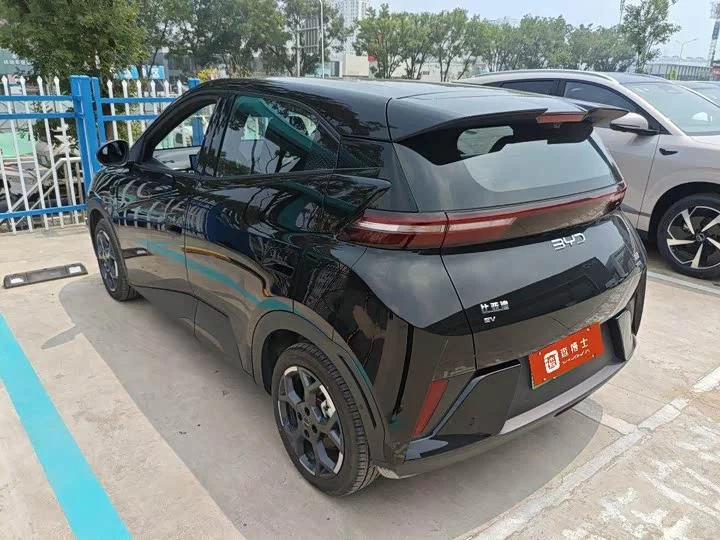 BYD seagull