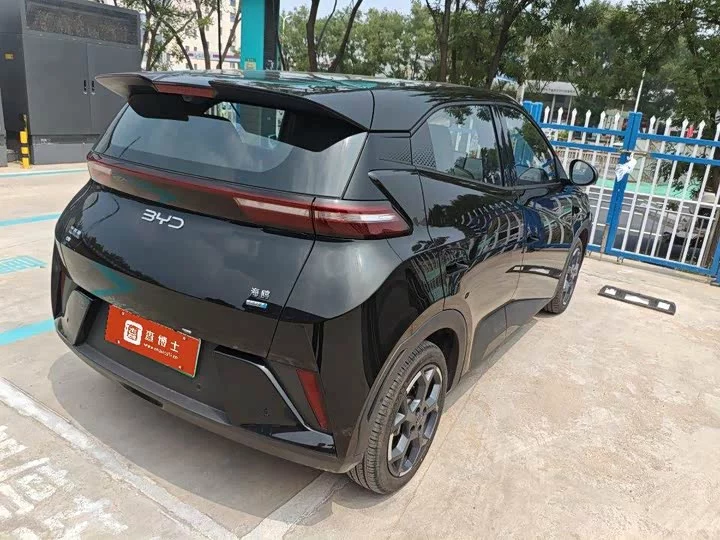 BYD seagull