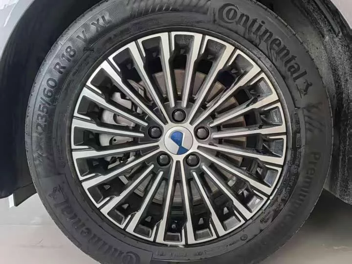 Denza D9