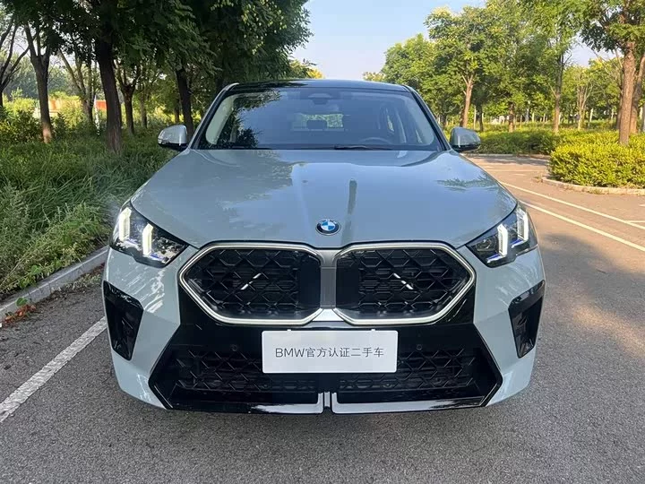 BMW X2