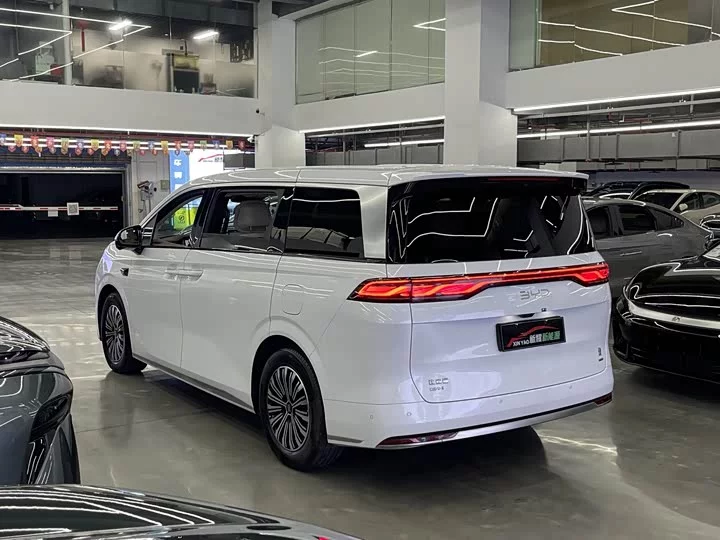 BYD summer