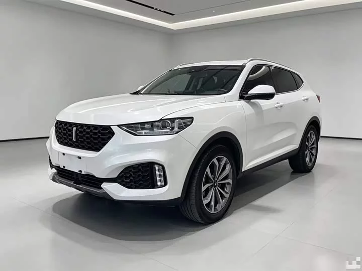 Wey VV6
