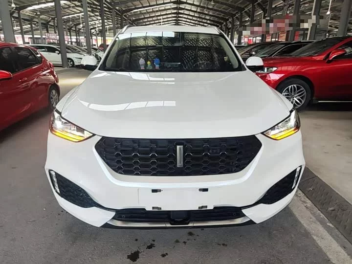 Wey VV6