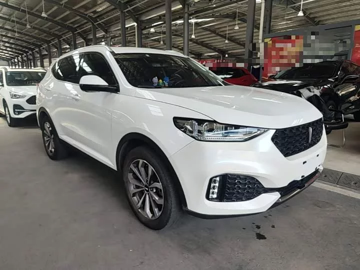 Wey VV6