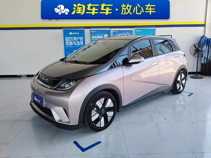 BYD dolphin
