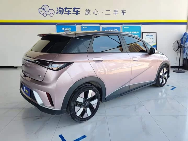 BYD dolphin