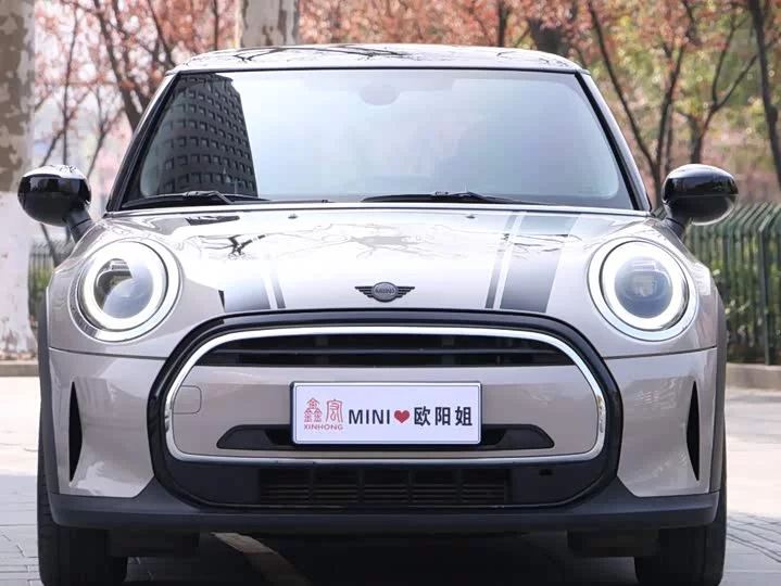 MINI 