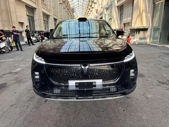 Lantu Automobile Lantu Zhiyin