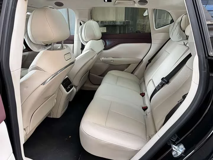Lantu Automobile Lantu Zhiyin