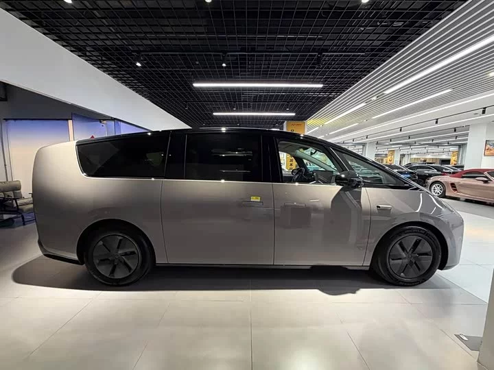 Li Ideal MEGA