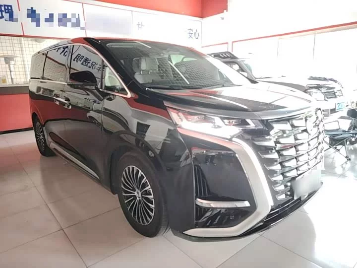 Denza D9