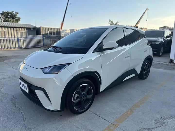 BYD seagull