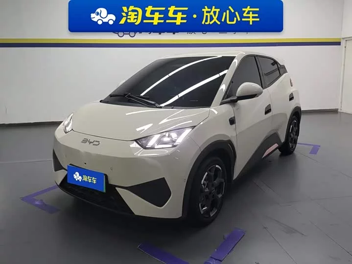 BYD seagull