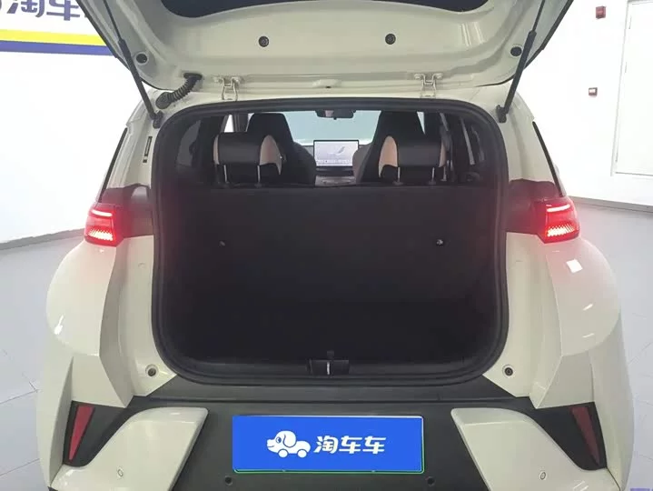 BYD seagull