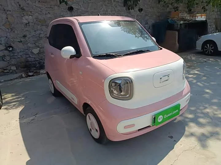 FAW pony