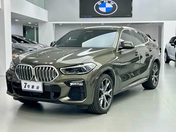 BMW X6