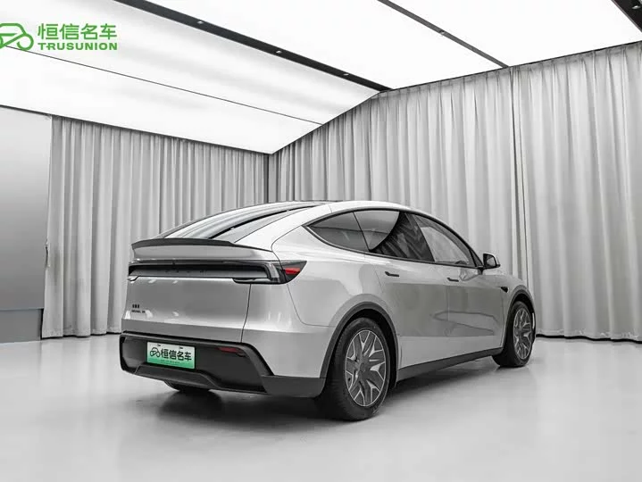 Tesla Model Y L