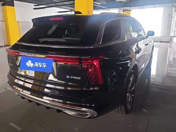 Hongqi E-HS9