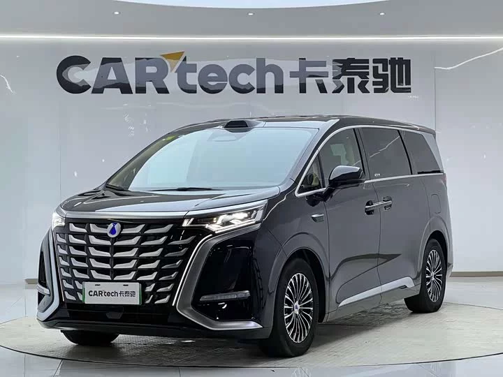 Denza D9